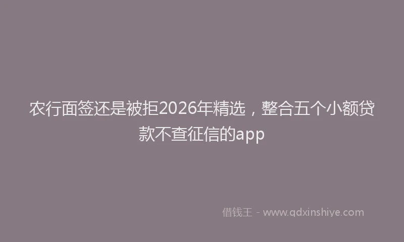 农行面签还是被拒2026年精选，整合五个小额贷款不查征信的app