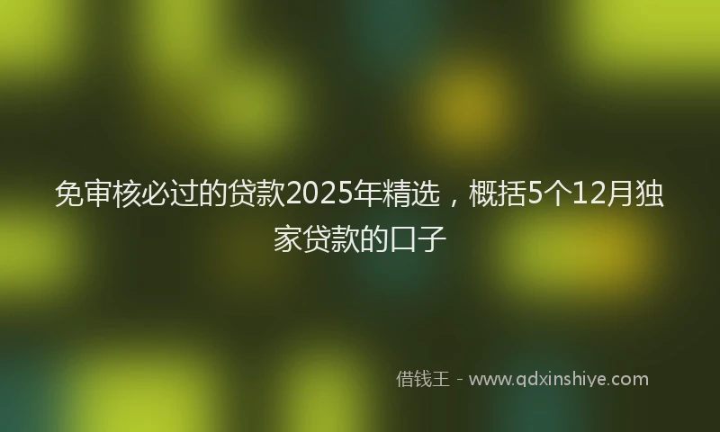 免审核必过的贷款2025年精选,概括5个12月独家贷款的口子