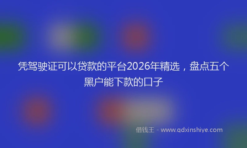 凭驾驶证可以贷款的平台2026年精选，盘点五个黑户能下款的口子