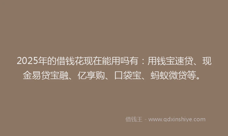 2025年的借钱花现在能用吗有:用钱宝速贷、现金易贷宝融、亿享购、口袋宝、蚂蚁微贷等。