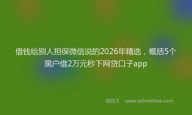 借钱给别人担保微信说的2026年精选,概括5个黑户借2万元秒下网贷口子app