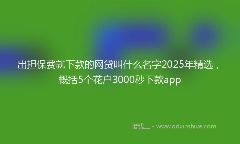 出担保费就下款的网贷叫什么名字2025年精选，概括5个花户3000秒下款app