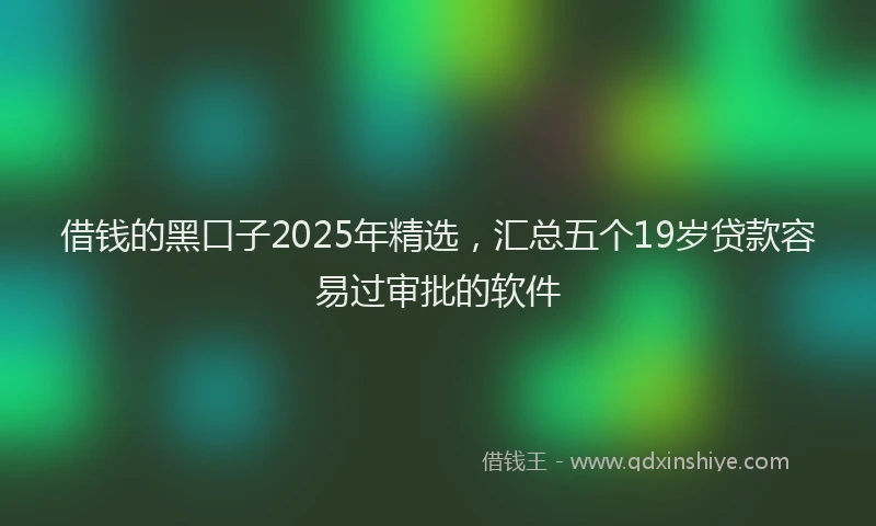 借钱的黑口子2025年精选，汇总五个19岁贷款容易过审批的软件