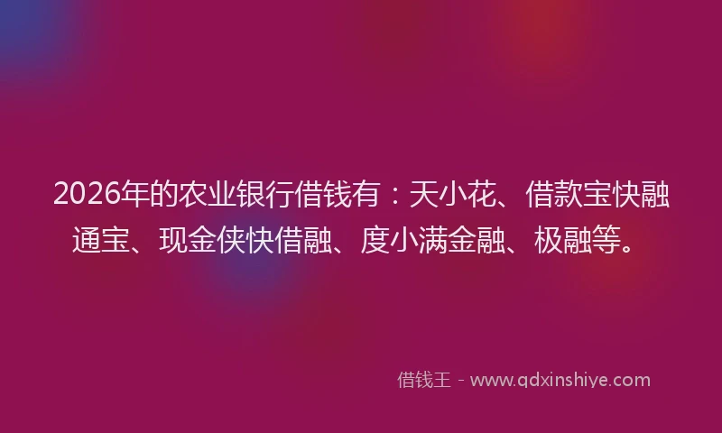 2026年的农业银行借钱有:天小花、借款宝快融通宝、现金侠快借融、度小满金融、极融等。