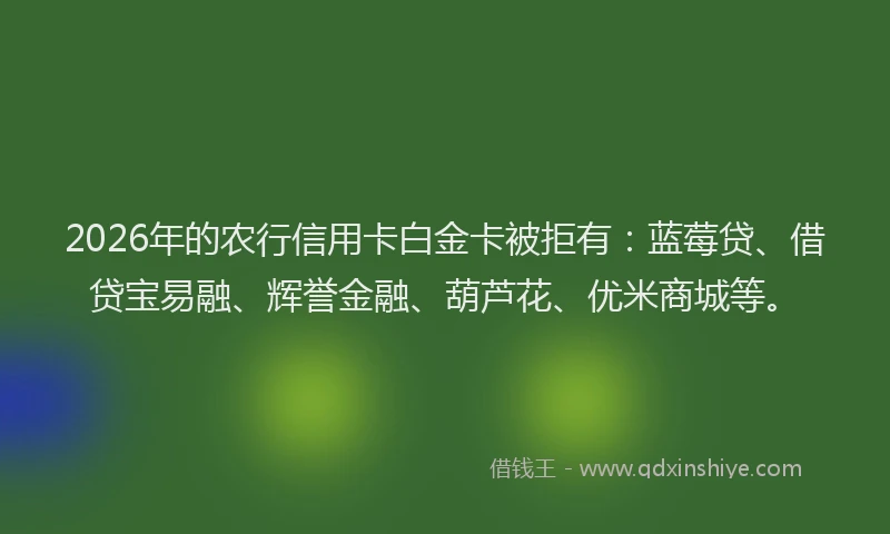 2026年的农行信用卡白金卡被拒有：蓝莓贷、借贷宝易融、辉誉金融、葫芦花、优米商城等。