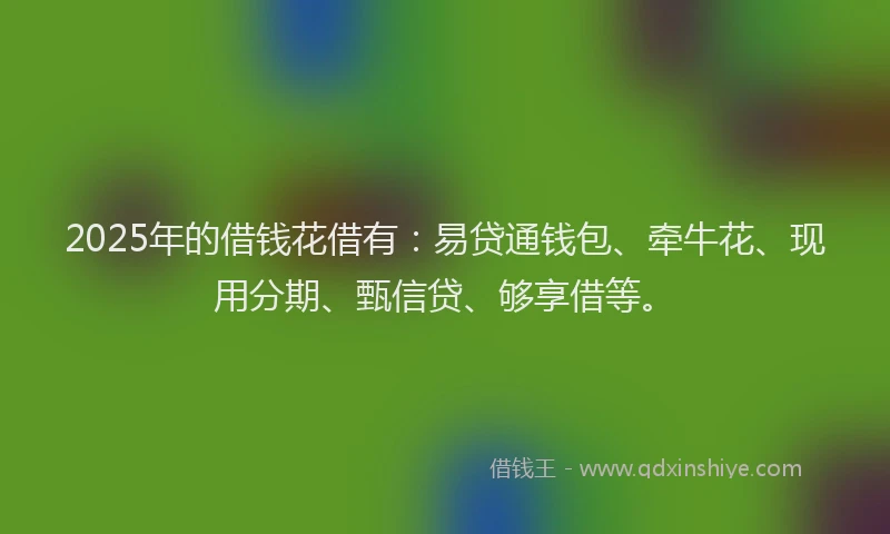 2025年的借钱花借有：易贷通钱包、牵牛花、现用分期、甄信贷、够享借等。