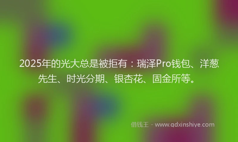 2025年的光大总是被拒有:瑞泽Pro钱包、洋葱先生、时光分期、银杏花、固金所等。