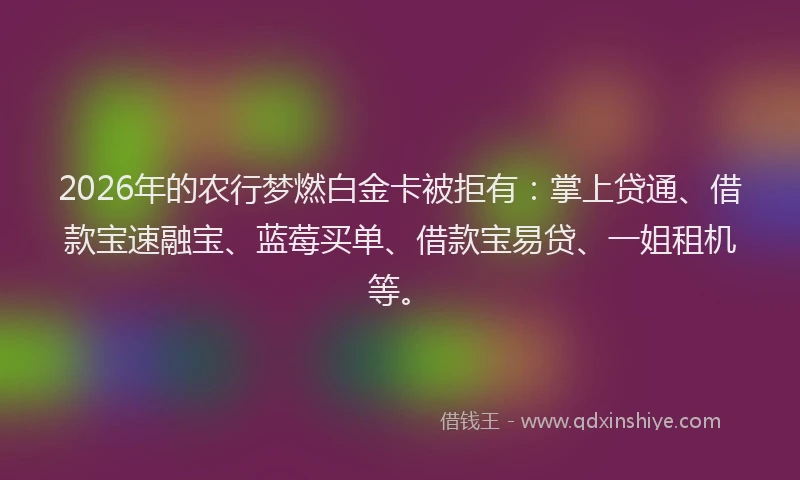 2026年的农行梦燃白金卡被拒有：掌上贷通、借款宝速融宝、蓝莓买单、借款宝易贷、一姐租机等。
