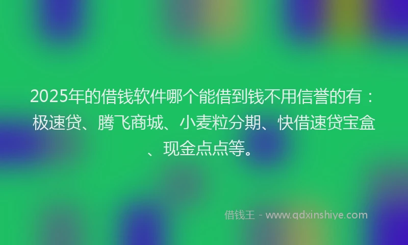 2025年的借钱软件哪个能借到钱不用信誉的有:极速贷、腾飞商城、小麦粒分期、快借速贷宝盒、现金点点等。