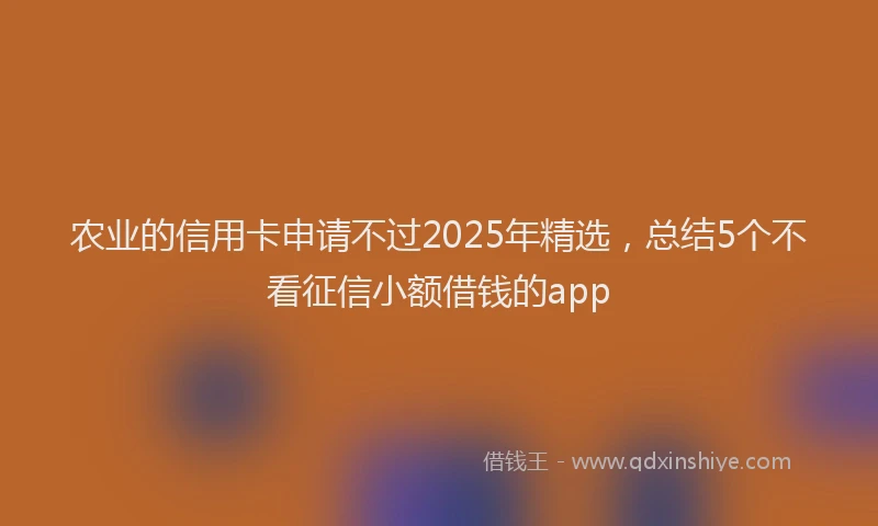 农业的信用卡申请不过2025年精选，总结5个不看征信小额借钱的app