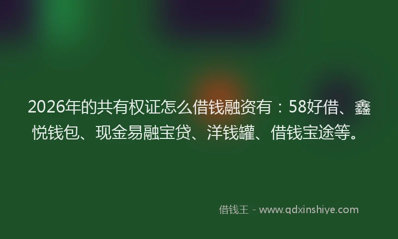 2026年的共有权证怎么借钱融资有：58好借、鑫悦钱包、现金易融宝贷、洋钱罐、借钱宝途等。