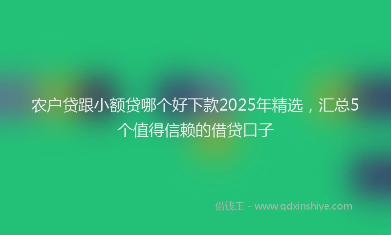 农户贷跟小额贷哪个好下款2025年精选，汇总5个值得信赖的借贷口子