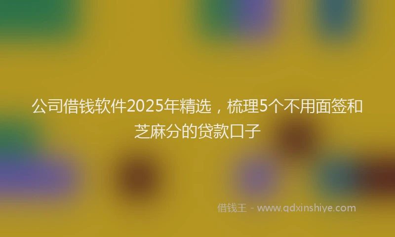 公司借钱软件2025年精选，梳理5个不用面签和芝麻分的贷款口子