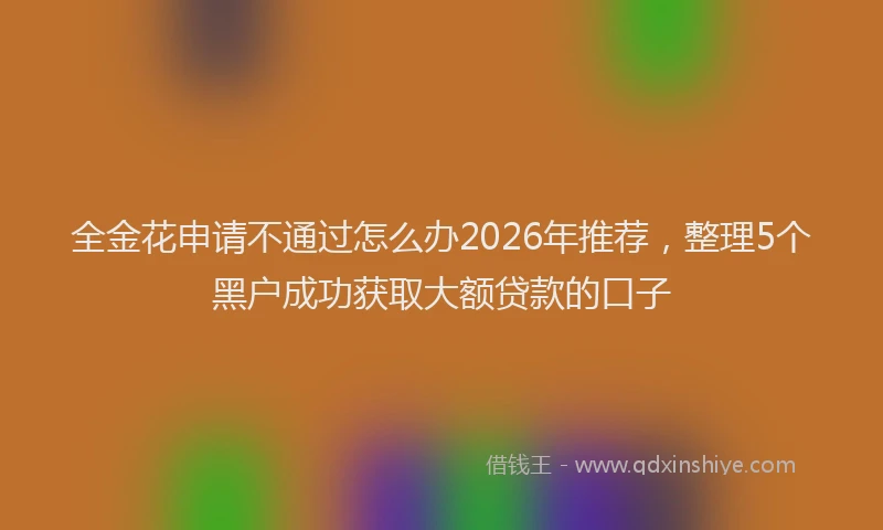 全金花申请不通过怎么办2026年推荐,整理5个黑户成功获取大额贷款的口子
