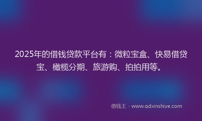 2025年的借钱贷款平台有：微粒宝盒、快易借贷宝、橄榄分期、旅游购、拍拍用等。