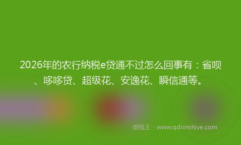 2026年的农行纳税e贷通不过怎么回事有：省呗、哆哆贷、超级花、安逸花、瞬信通等。