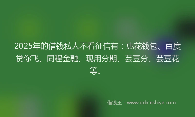2025年的借钱私人不看征信有：惠花钱包、百度贷你飞、同程金融、现用分期、芸豆分、芸豆花等。