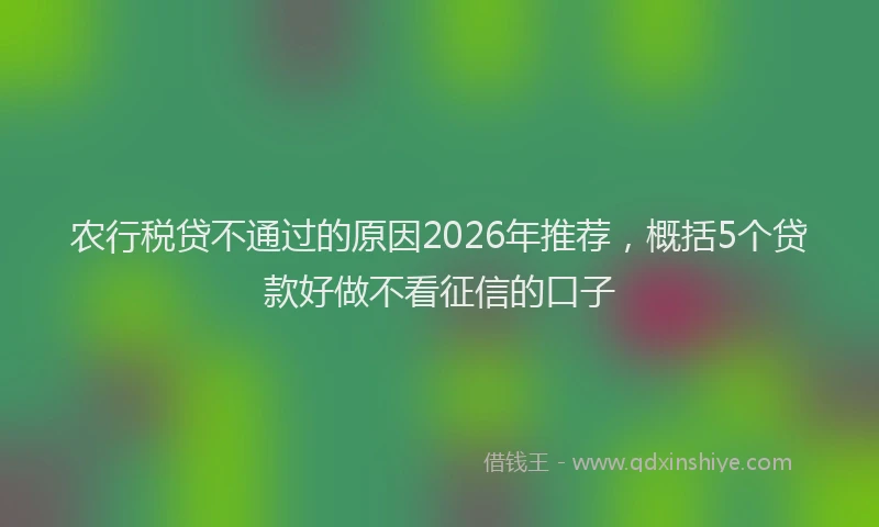 农行税贷不通过的原因2026年推荐，概括5个贷款好做不看征信的口子