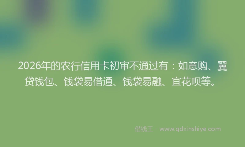 2026年的农行信用卡初审不通过有:如意购、翼贷钱包、钱袋易借通、钱袋易融、宜花呗等。