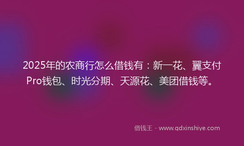 2025年的农商行怎么借钱有：新一花、翼支付Pro钱包、时光分期、天源花、美团借钱等。
