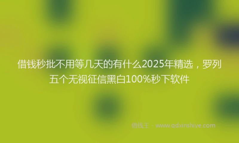 借钱秒批不用等几天的有什么2025年精选，罗列五个无视征信黑白100%秒下软件