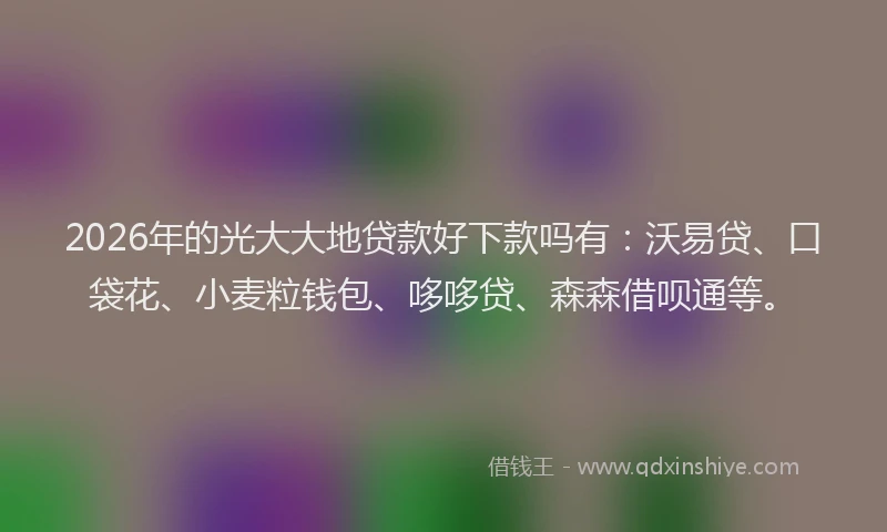 2026年的光大大地贷款好下款吗有:沃易贷、口袋花、小麦粒钱包、哆哆贷、森森借呗通等。