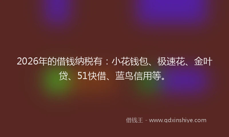 2026年的借钱纳税有：小花钱包、极速花、金叶贷、51快借、蓝鸟信用等。