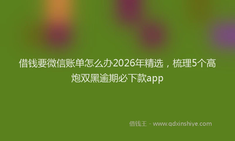 借钱要微信账单怎么办2026年精选，梳理5个高炮双黑逾期必下款app