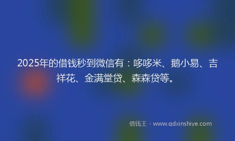 2025年的借钱秒到微信有:哆哆米、鹅小易、吉祥花、金满堂贷、森森贷等。