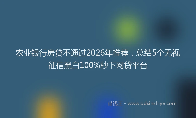 农业银行房贷不通过2026年推荐，总结5个无视征信黑白100%秒下网贷平台