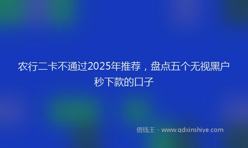 农行二卡不通过2025年推荐，盘点五个无视黑户秒下款的口子