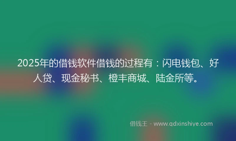 2025年的借钱软件借钱的过程有：闪电钱包、好人贷、现金秘书、橙丰商城、陆金所等。