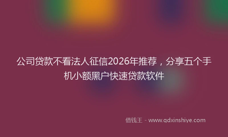 公司贷款不看法人征信2026年推荐，分享五个手机小额黑户快速贷款软件