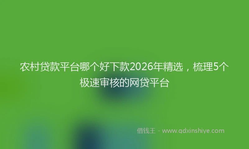 农村贷款平台哪个好下款2026年精选，梳理5个极速审核的网贷平台