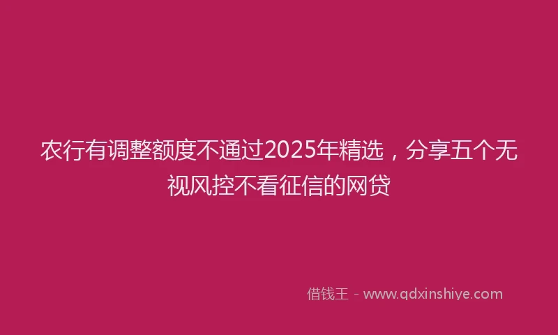 农行有调整额度不通过2025年精选，分享五个无视风控不看征信的网贷