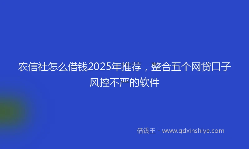 农信社怎么借钱2025年推荐，整合五个网贷口子风控不严的软件