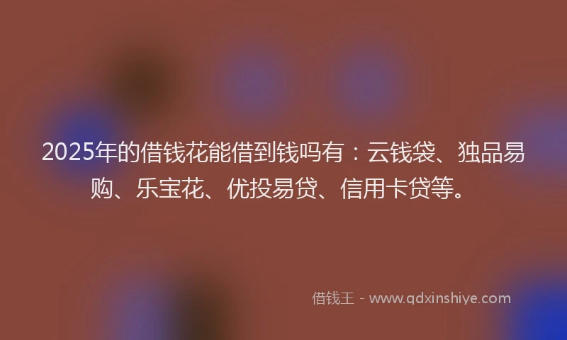 2025年的借钱花能借到钱吗有:云钱袋、独品易购、乐宝花、优投易贷、信用卡贷等。