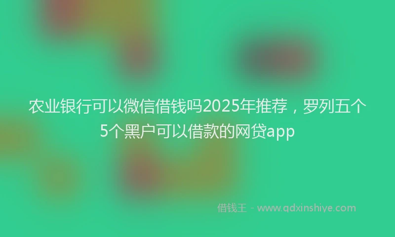 农业银行可以微信借钱吗2025年推荐，罗列五个5个黑户可以借款的网贷app