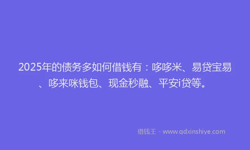 2025年的债务多如何借钱有：哆哆米、易贷宝易、哆来咪钱包、现金秒融、平安i贷等。