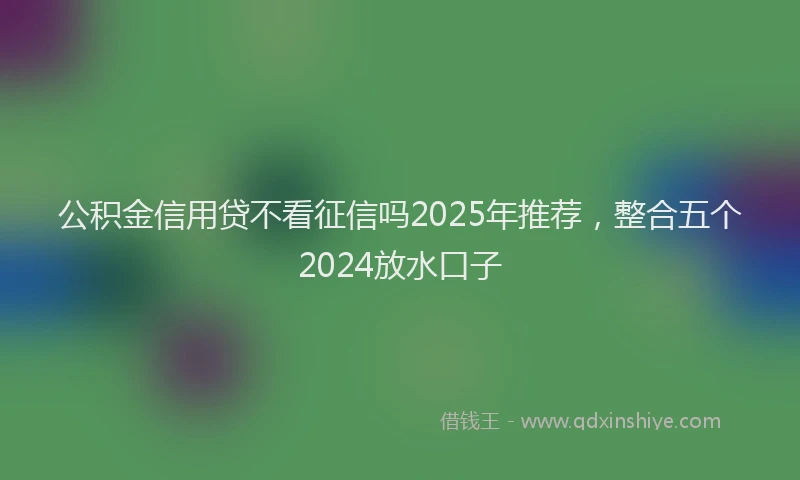 公积金信用贷不看征信吗2025年推荐，整合五个2024放水口子