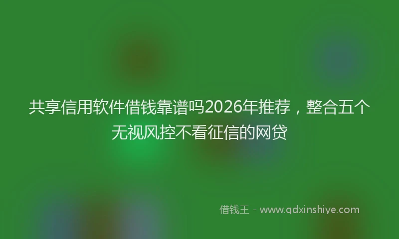 共享信用软件借钱靠谱吗2026年推荐，整合五个无视风控不看征信的网贷