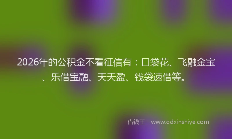 2026年的公积金不看征信有：口袋花、飞融金宝、乐借宝融、天天盈、钱袋速借等。