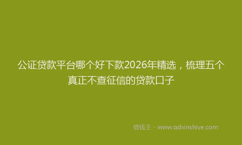 公证贷款平台哪个好下款2026年精选,梳理五个真正不查征信的贷款口子