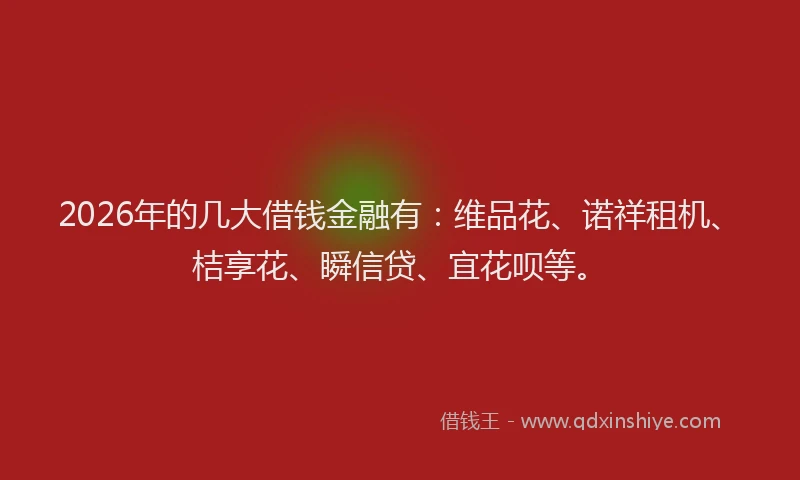 2026年的几大借钱金融有：维品花、诺祥租机、桔享花、瞬信贷、宜花呗等。