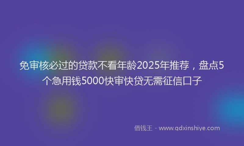 免审核必过的贷款不看年龄2025年推荐,盘点5个急用钱5000快审快贷无需征信口子