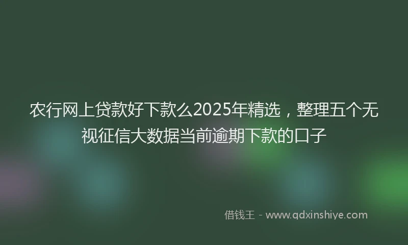 农行网上贷款好下款么2025年精选，整理五个无视征信大数据当前逾期下款的口子