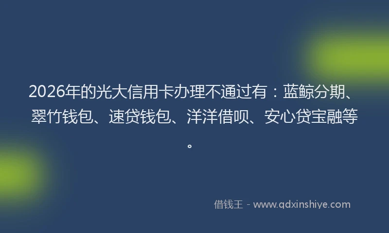 2026年的光大信用卡办理不通过有：蓝鲸分期、翠竹钱包、速贷钱包、洋洋借呗、安心贷宝融等。