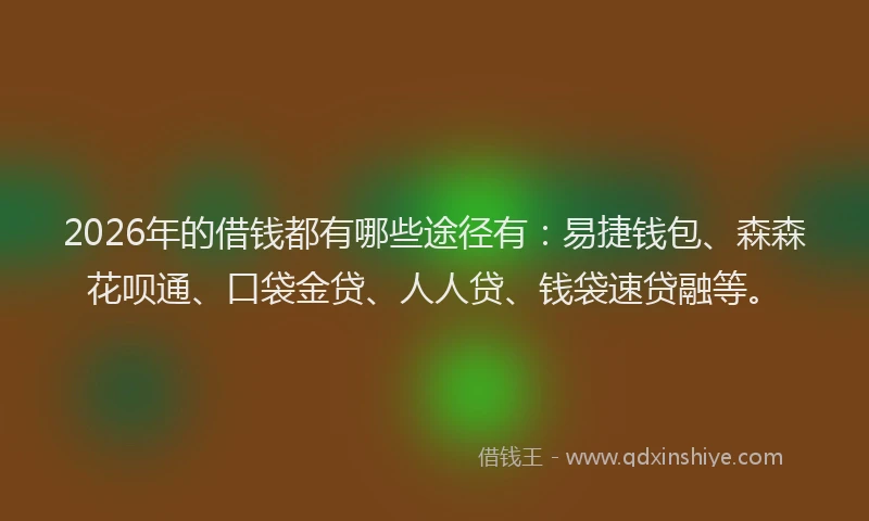 2026年的借钱都有哪些途径有:易捷钱包、森森花呗通、口袋金贷、人人贷、钱袋速贷融等。