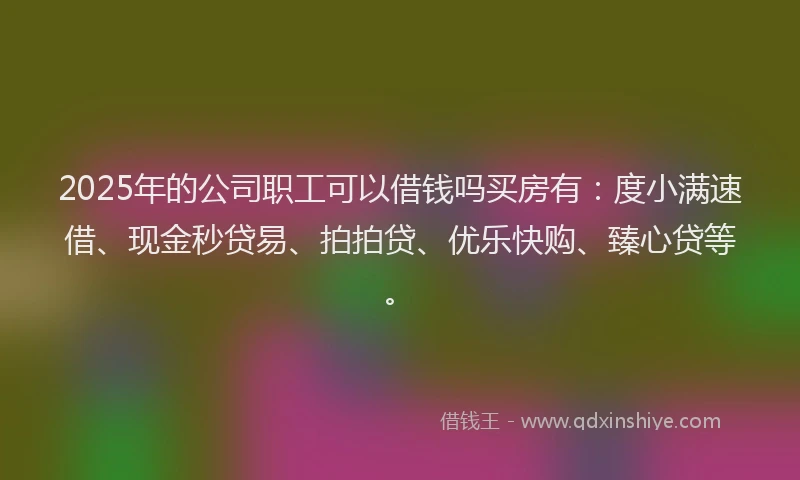 2025年的公司职工可以借钱吗买房有:度小满速借、现金秒贷易、拍拍贷、优乐快购、臻心贷等。