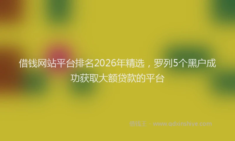 借钱网站平台排名2026年精选，罗列5个黑户成功获取大额贷款的平台